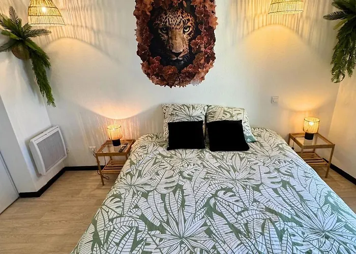 Jungle - Vue - Clim - Wifi